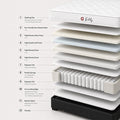 NEX BEDDY, deeper plush comfort with High-Density Comfort Foam Technology.|10 years warranty